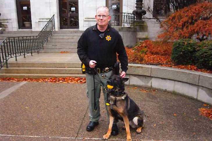 German Shepherd Delaware KC K9 Officer