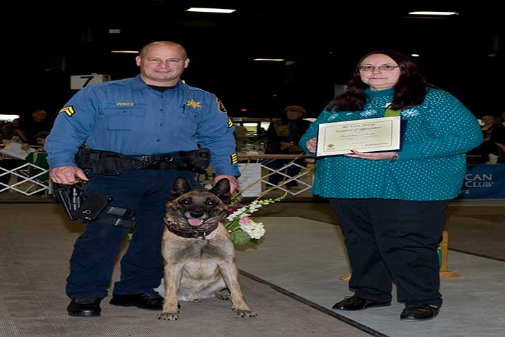 New Brunswick Kennel Club Awards Sheriff