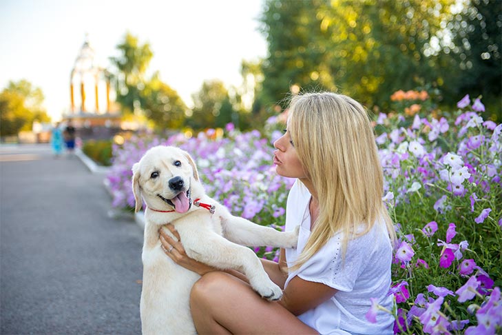 puppy training classes