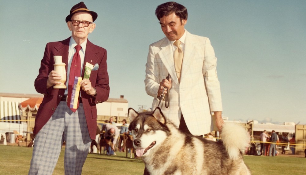 Quiz: Can You Identify the Dog Breeds in These Historical Photos?