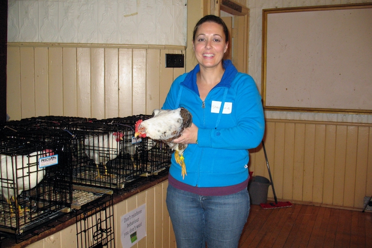 chicken