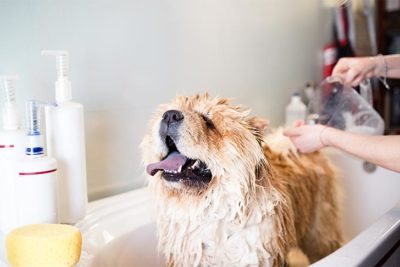 wash