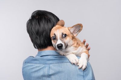fears and phobias