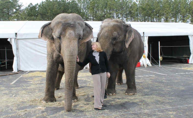 Ringling Brothers’ 2 elephants