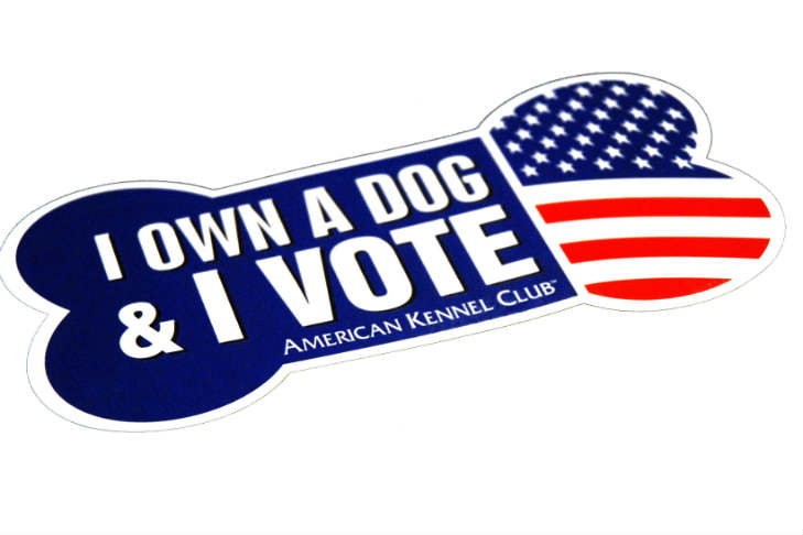 I Own a Dog and Vote Magnet Election 2016