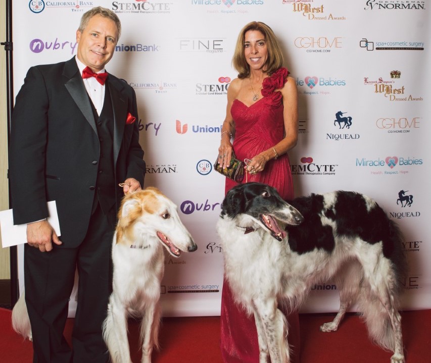 borzoi