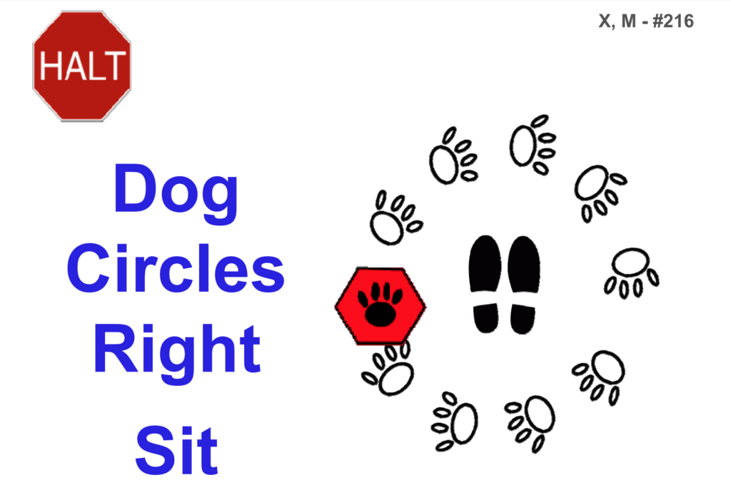 How to Compete in AKC Rally For Beginners – American Kennel Club