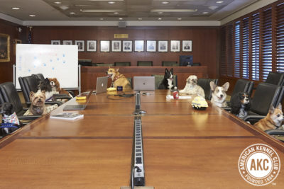 office