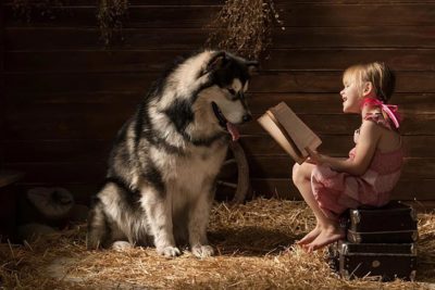 dog books