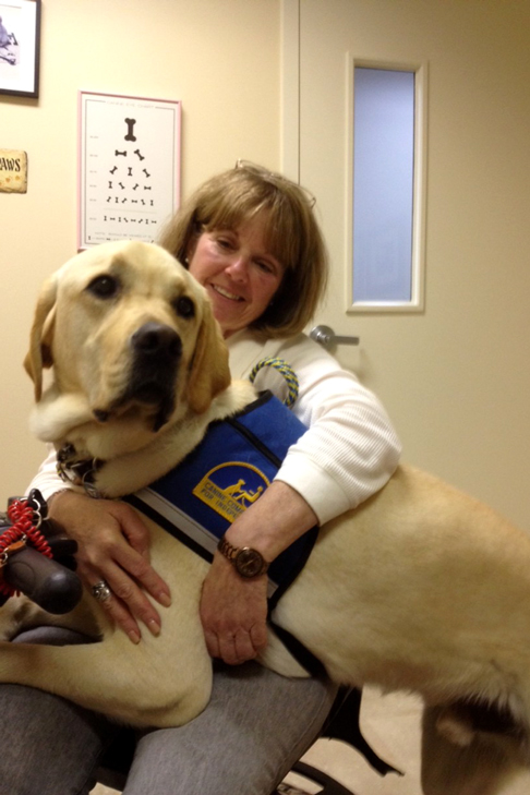 Yellow Labrador Retriever Writer