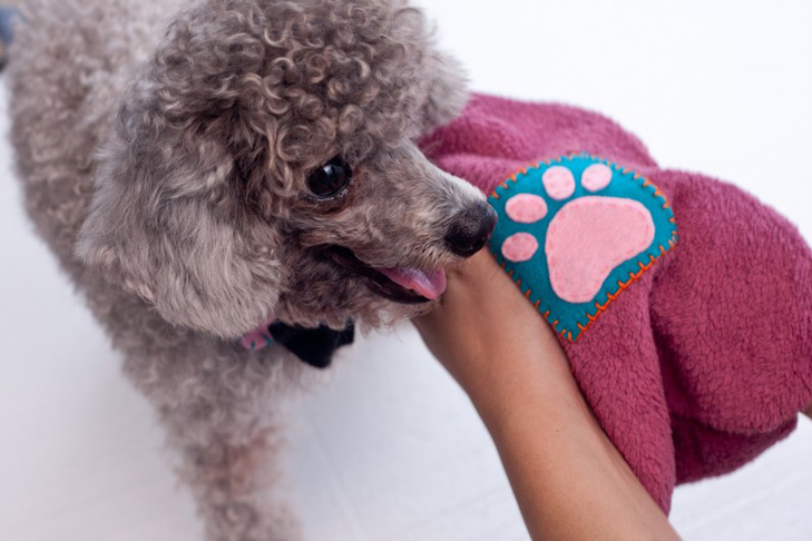 Paw Towel 19