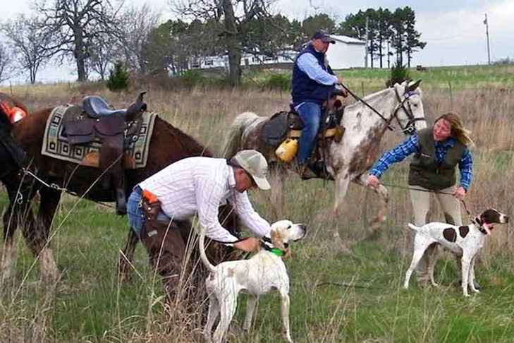 Sporting Dogs at an event