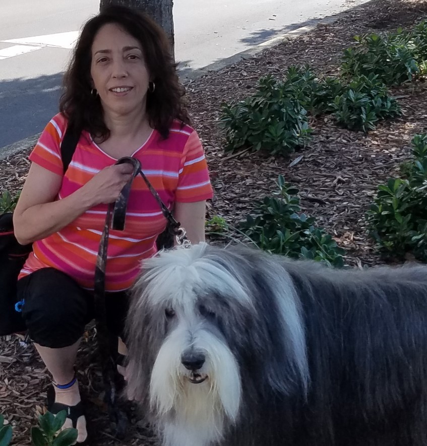 seizure-alert dog