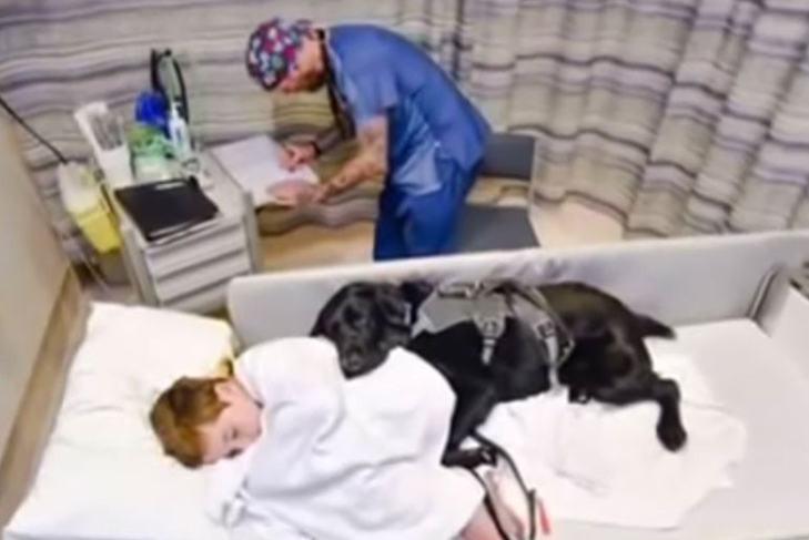 Black Lab service dog cuddles with an autistic boy