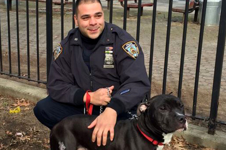 NYPD helps a dog