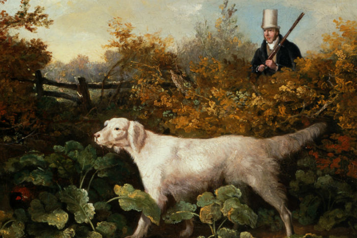 Highland Tod Painting