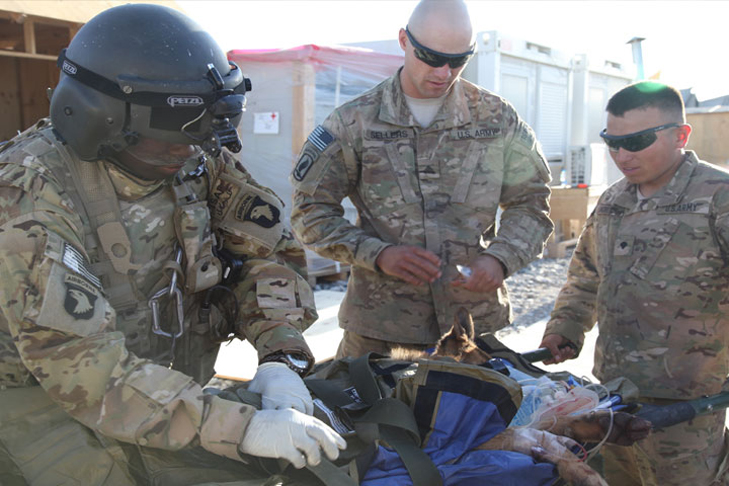 Soldiers Saving a Dog