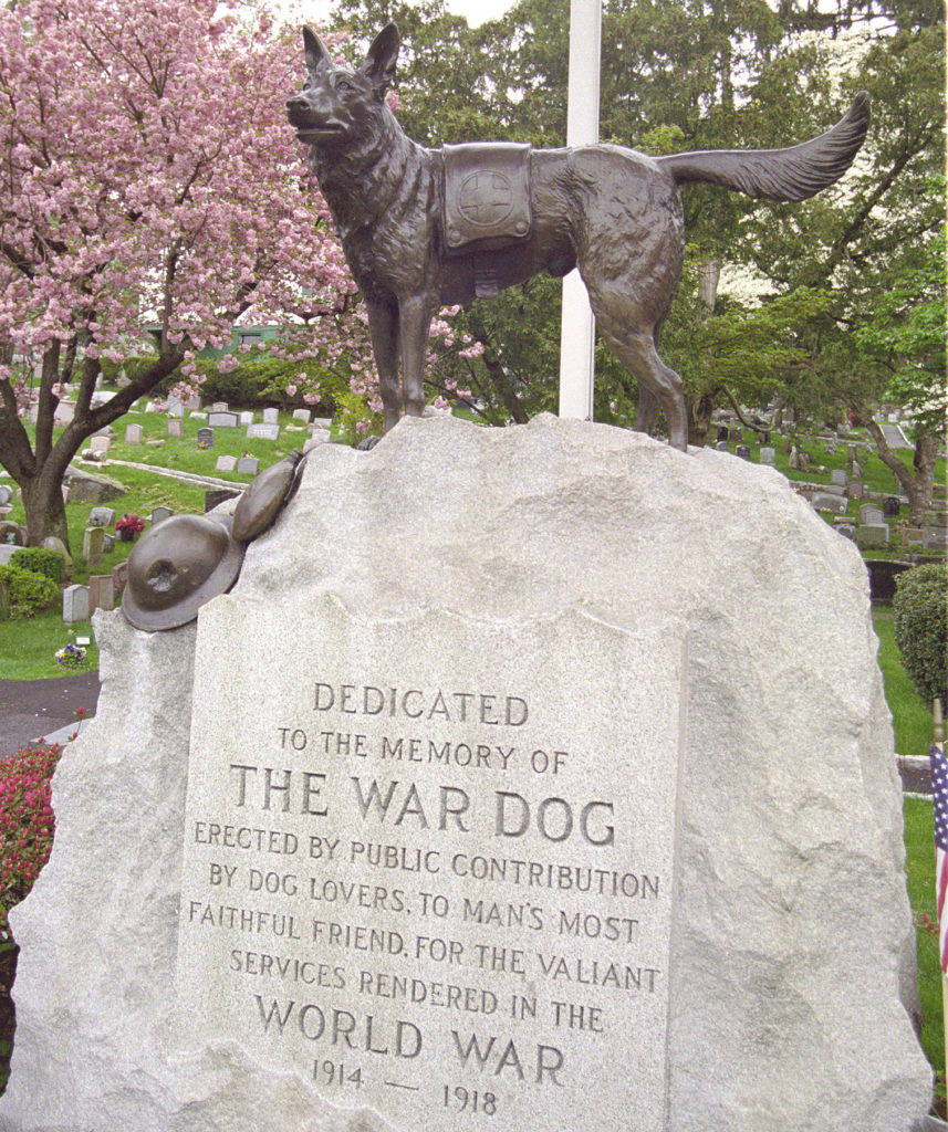 bunty cosy couch mattress dog bed