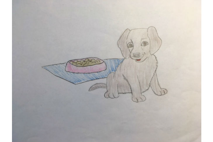 Responsible Dog Ownership Day