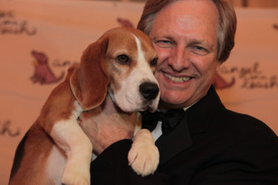 Uno-Champion-Beagle-Dog