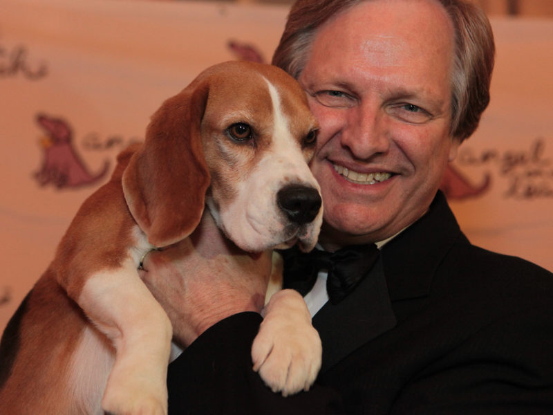 Uno-Champion-Beagle-Dog