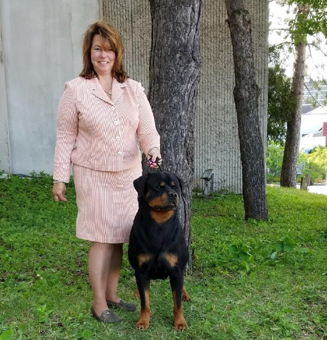 Gamegard-Rottweilers-Breeders