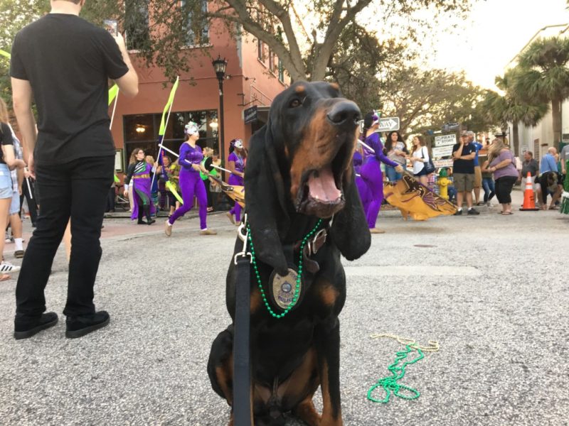 Police-Dog-Cooper-Ace-Awards