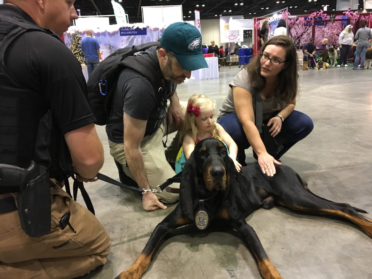 Police-Dog-Cooper-working