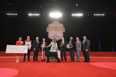 AKC National Championship Best in Show 2024 winner GCHG CH Hearthmore's Wintergreen Mountain RI CGC TKN FITB (Monty) the Giant Schnauzer