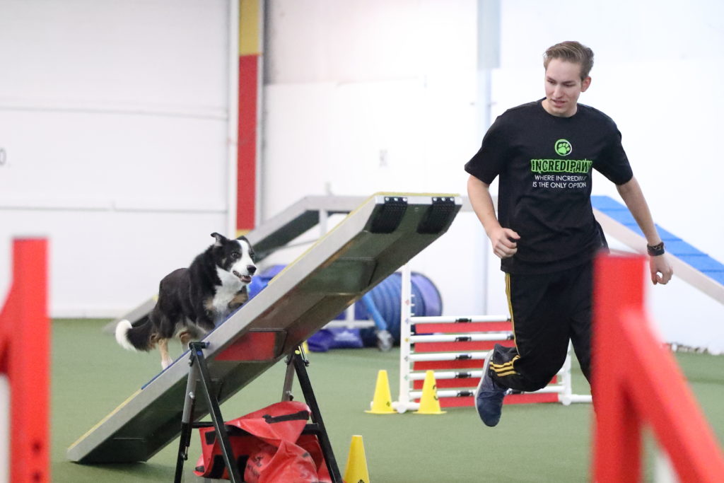 Junior-Agility-2018-Andrew-Sage