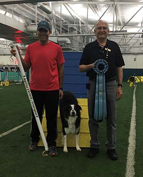 akc invitational 2018