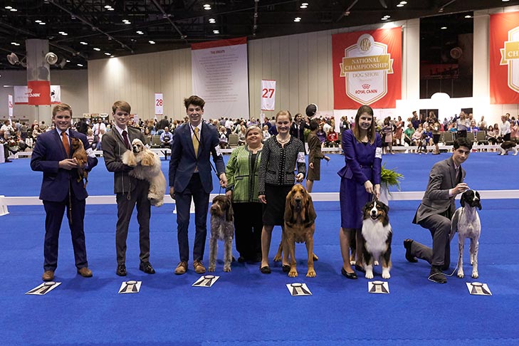 Preliminary One finalists (left to right): Jacob Waters handling Jalu's Jokes On You (Miniature Pinscher), Johnathon Wehry handling GCHS CH Cameo Siloet's Gold Coast Legacy (Cocker Spaniel, ASCOB), Kyle Bismore handling CH Scotian Good King Wenceslas (German Wirehaired Pointer), Preliminary One judge Alessandra R Folz, Emma Rogers handling CH Sanctuary's Rock N Roll Experience From Nozenears (Bloodhound), Josie Scoonover-Nelson handling GCH CH Cattail Ridge Cloak And Dagger CDX PCDX RAE CGC (Australian Shepherd), and Cortlund Towell handling a Pointer.