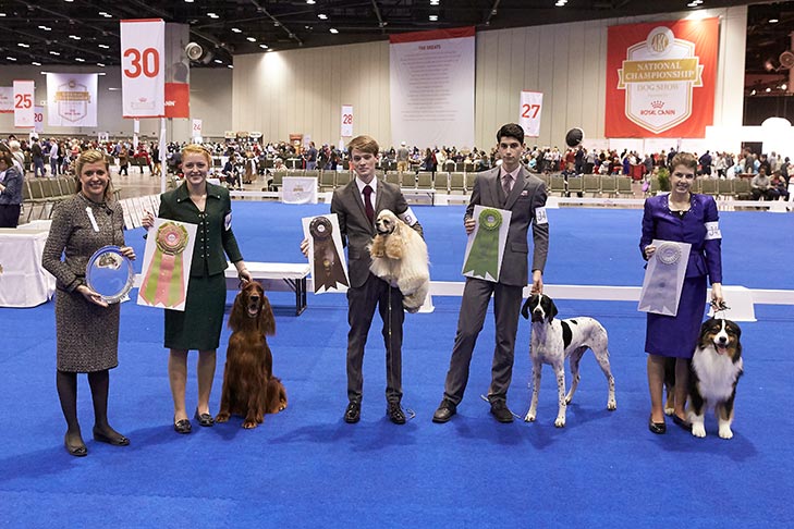 Finalists (left to right): First place: Mary Claire Ctibor handling GCHS CH Beaubriar's Best Kept Secret (Irish Setter), Second Place: Johnathon Wehry handling GCHS CH Cameo Siloet's Gold Coast Legacy (Cocker Spaniel, ASCOB), Third Place: Cortlund Towell handling a Pointer, and Fourth Place: Josie Scoonover-Nelson handling GCH CH Cattail Ridge Cloak And Dagger CDX PCDX RAE CGC (Australian Shepherd).