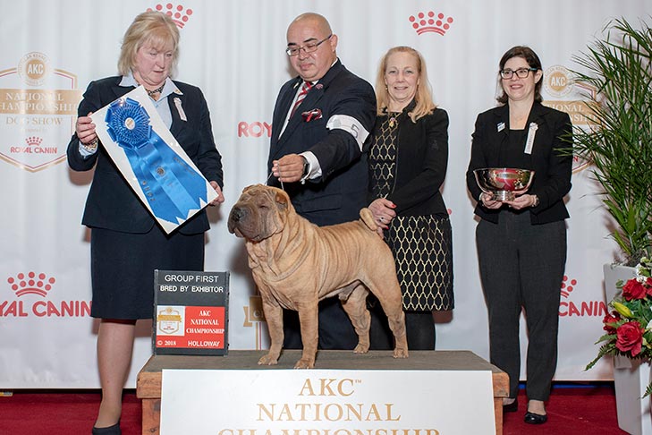 Bred By Exhibitor Non-Sporting Group First: GCHP CH Majesty's Legaxy Another Easy Masterpiece, Chinese Shar-Pei.