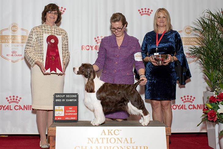 Bred By Exhibitor Sporting Group Second: GCHB CH Crownroyal Chrisand Tea Connection, English Springer Spaniel.
