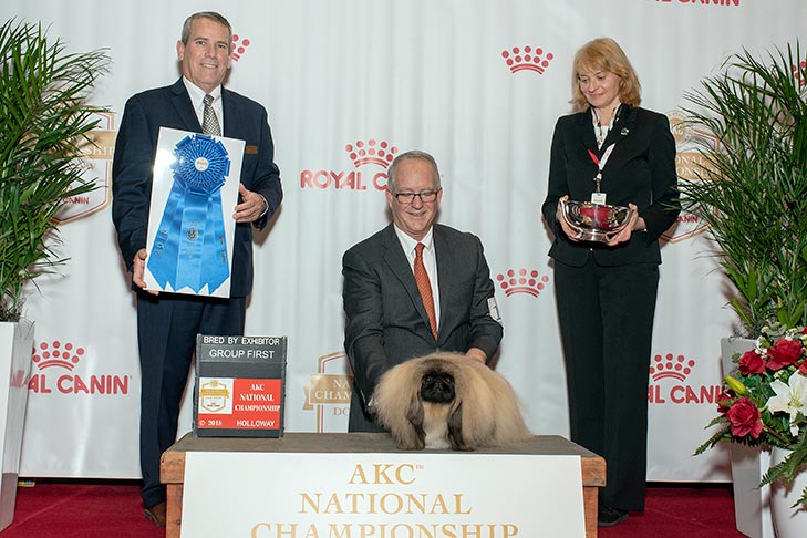 Bred By Exhibitor Toy Group First: CH Pequest Primrose, Pekingese.