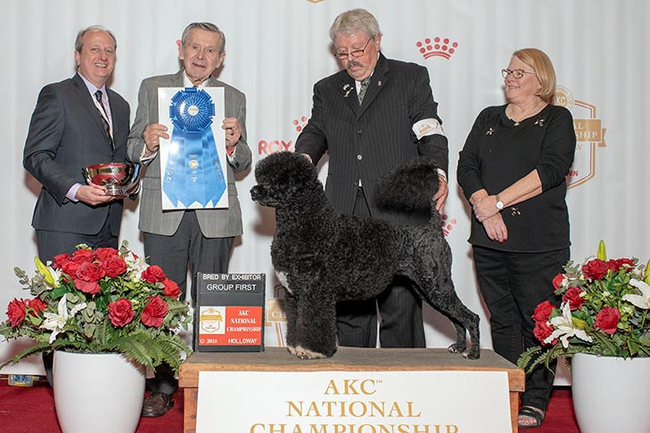 Bred By Exhibitor Working Group First: GCHB CH Overlook Lisiji Meant To Bee ACT1 DN, Portuguese Water Dog.