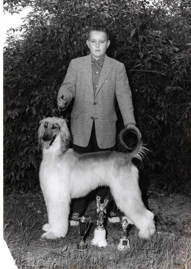 Afghan Hound at Junior Showmanship