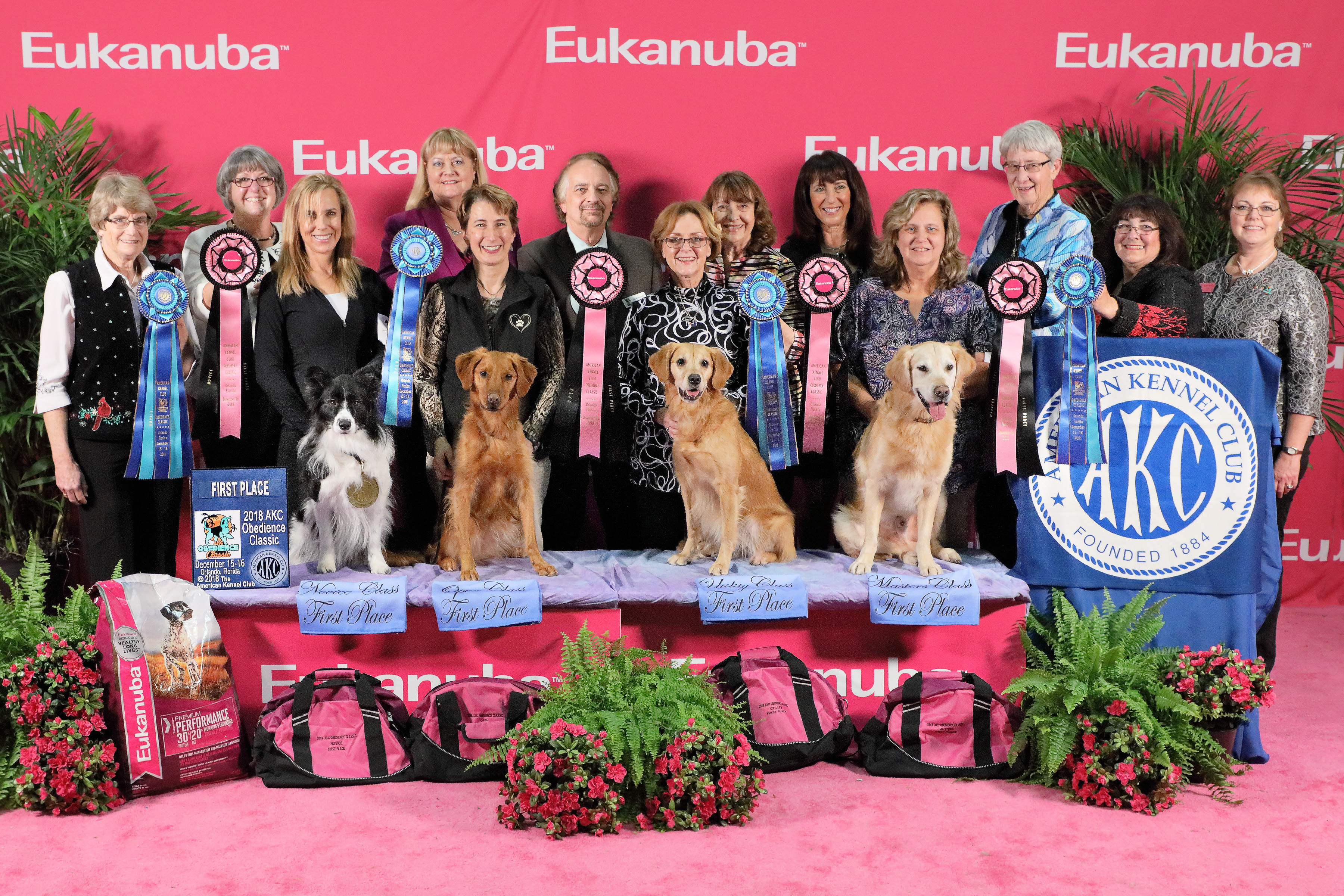 akc agility invitational 2018