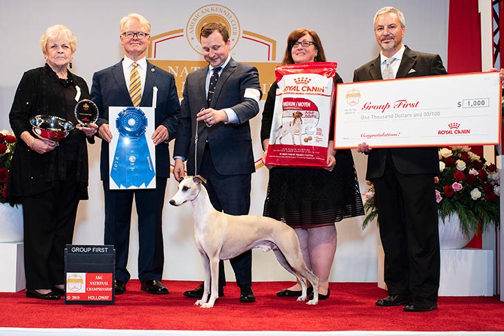 Hound Group First: GCHP CH Pinnacle Tennessee Whiskey (Whiskey), Whippet; 2018 AKC National Championship presented by Royal Canin in Orlando, FL.