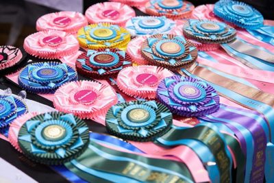 Obedience and Rally awards and ribbons; 2018 AKC National Championship presented by Royal Canin.