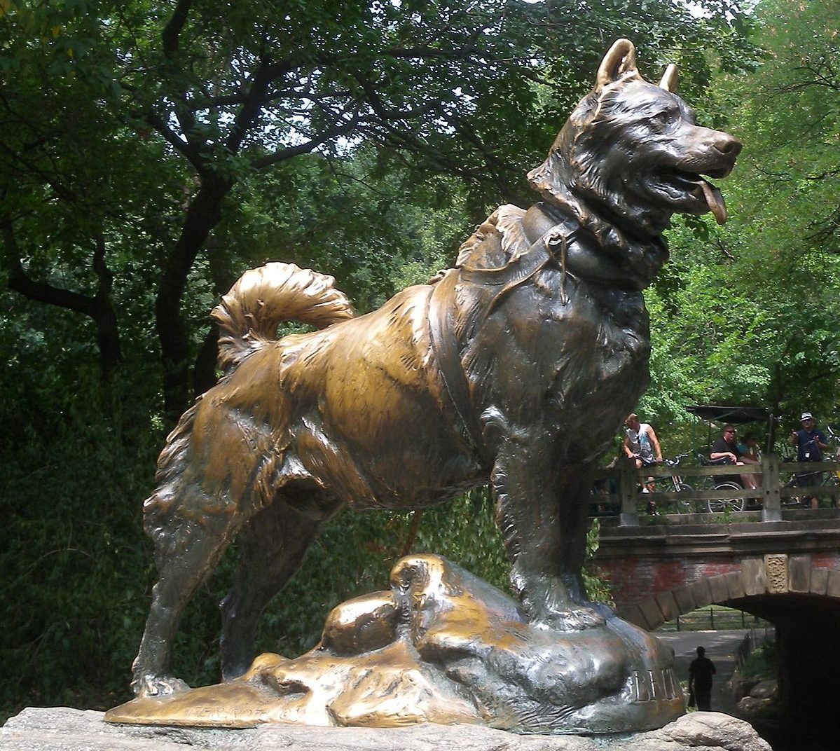 sled dog with statue in central park