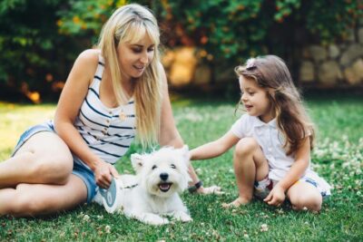 West Highland White Terrier with its owner getting pet by a little girl in the park.