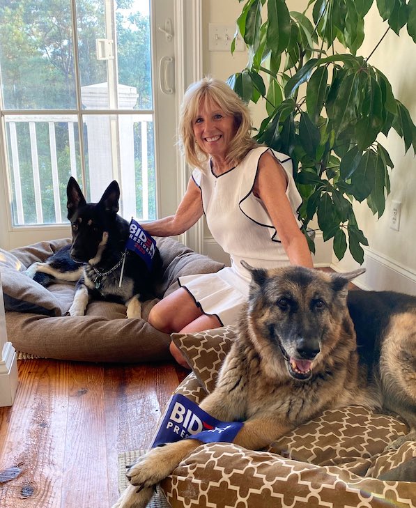 https://s3.amazonaws.com/cdn-origin-etr.akc.org/wp-content/uploads/2019/02/19151405/major-and-champ-jill-biden.jpeg