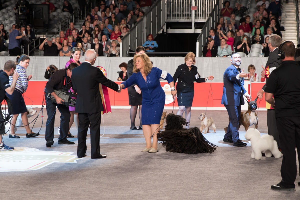 How Does Someone an AKC Dog Show Judge?