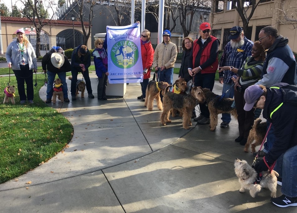 The American Kennel Club Announces 'AKC Fit Dog' Clubs American