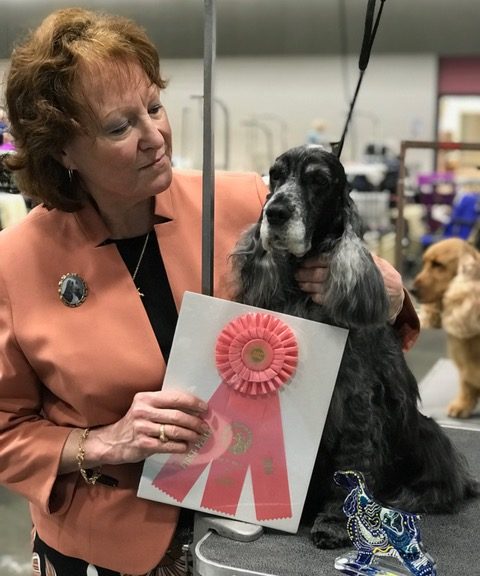 diver aquarium ornament