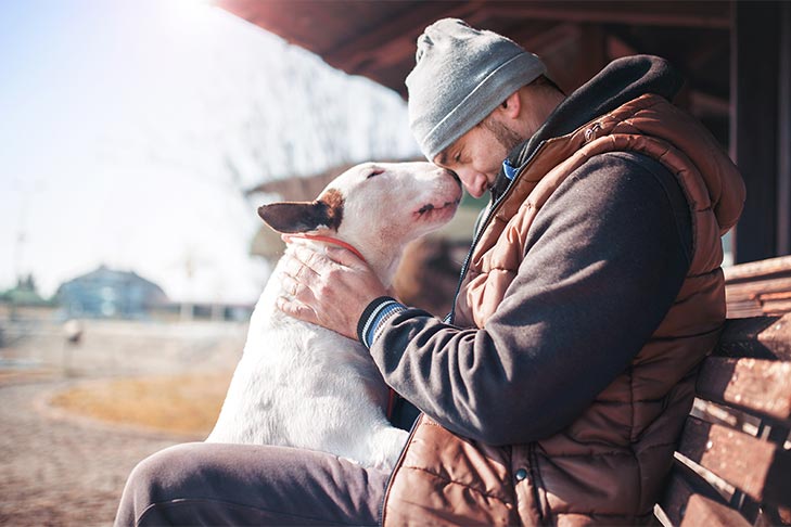 Bull Terrier and man sharing a loving moment.