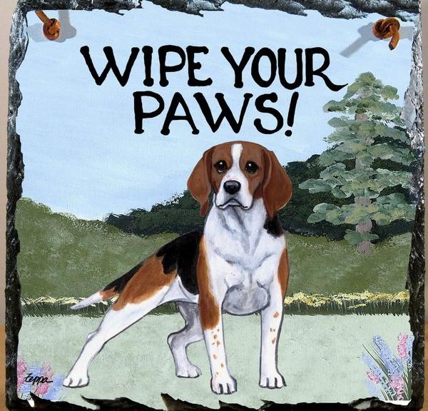 national purebred dog day 2019