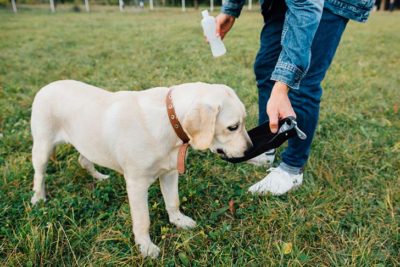 lab-drinking-water-out-of-emergency-bottle